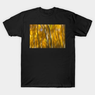 Fall Abstract III T-Shirt